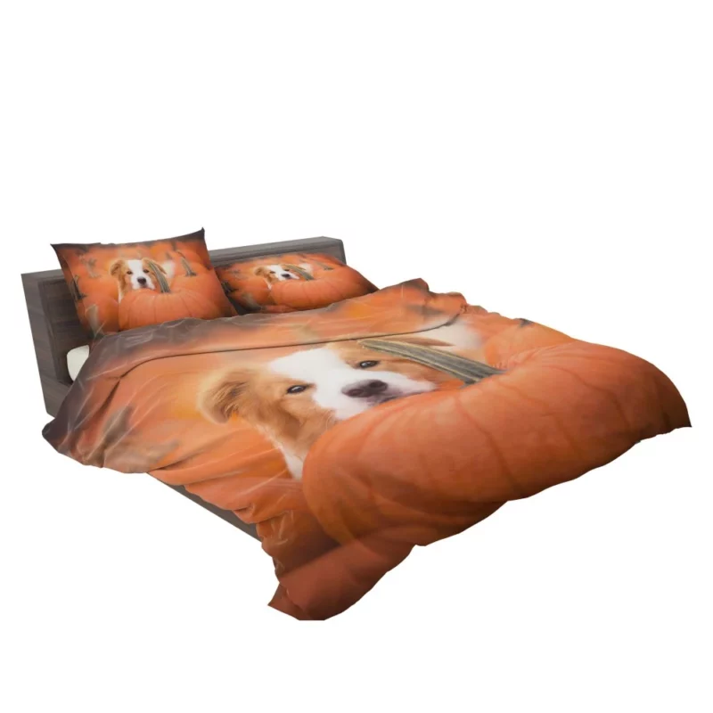 Boston Terrier Autumn Adventure Furry Delight Bedding Set 2