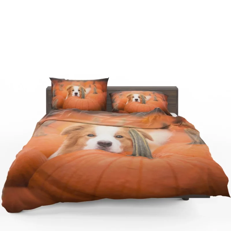 Boston Terrier Autumn Adventure Furry Delight Bedding Set