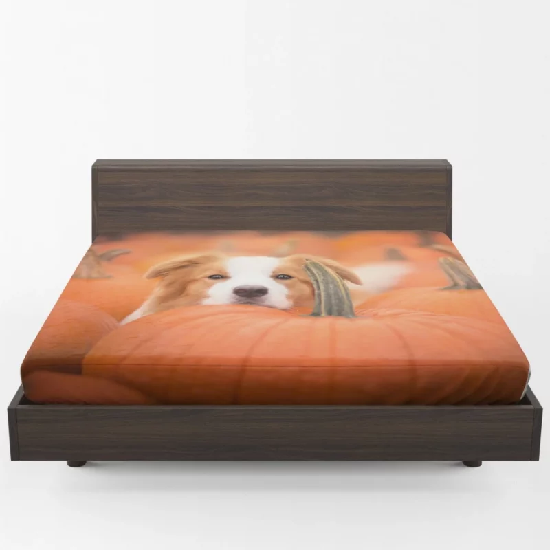 Boston Terrier Autumn Adventure Furry Delight Fitted Sheet