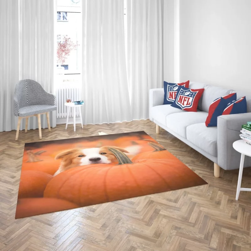 Boston Terrier Autumn Adventure Furry Delight Rug 2