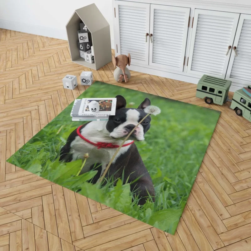 Boston Terrier Playful Spirit Rug 1