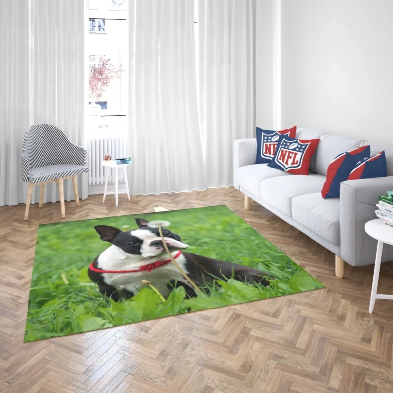 Boston Terrier Playful Spirit Rug 2