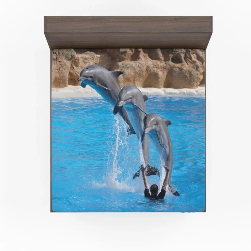 Bottlenose Dolphins Playful Dance Fitted Sheet 1