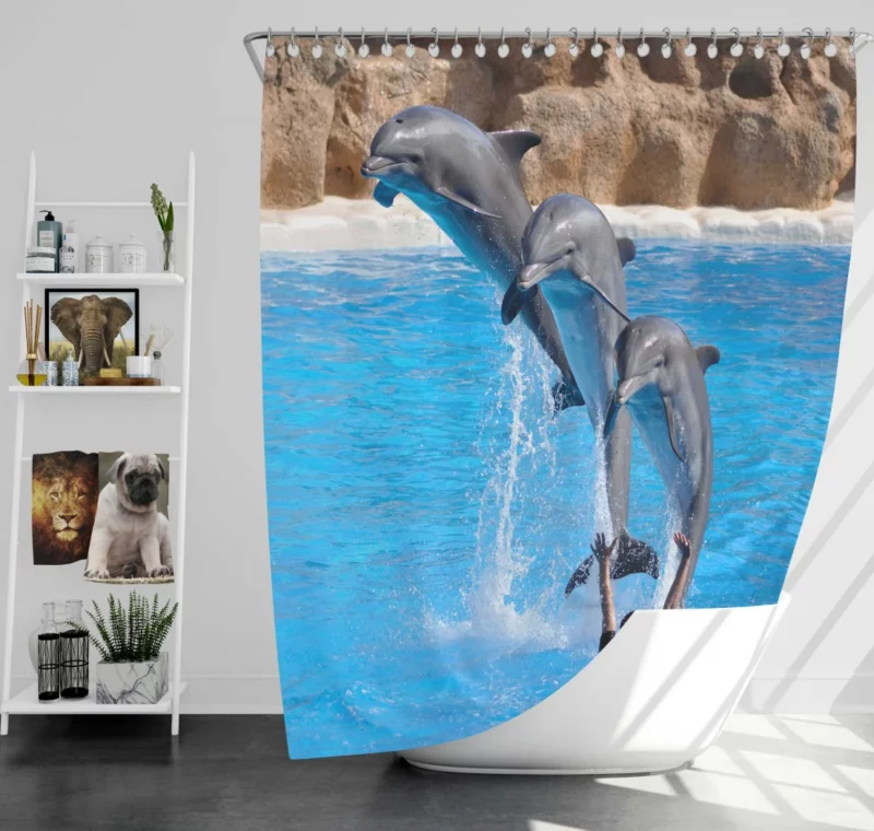 Bottlenose Dolphins Playful Dance Shower Curtain