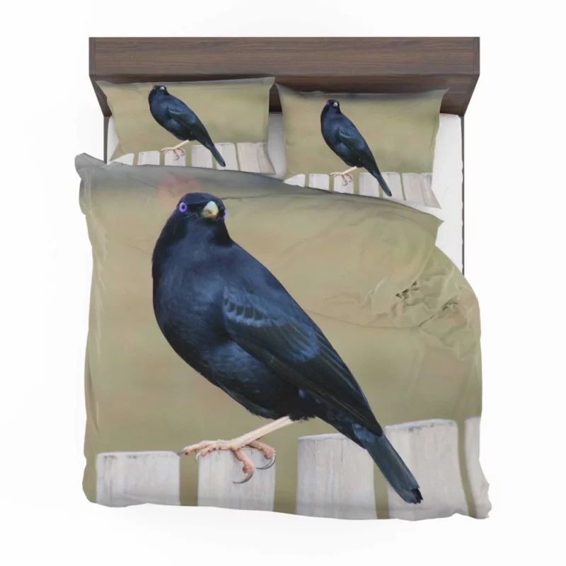 Bowerbird Artful Nest Avian Architect Bedding Set 1