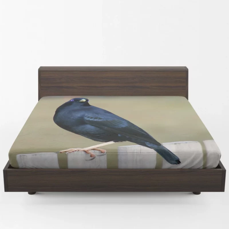 Bowerbird Artful Nest Avian Architect Fitted Sheet