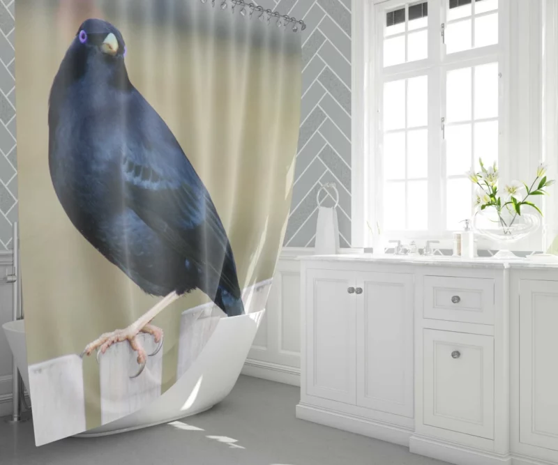 Bowerbird Artful Nest Avian Architect Shower Curtain 1