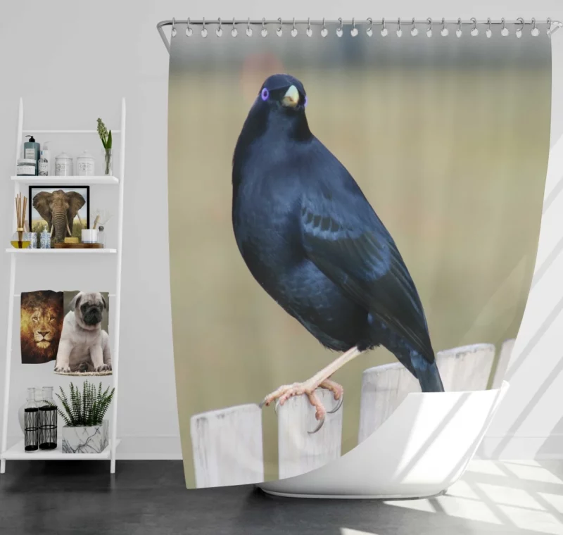 Bowerbird Artful Nest Avian Architect Shower Curtain