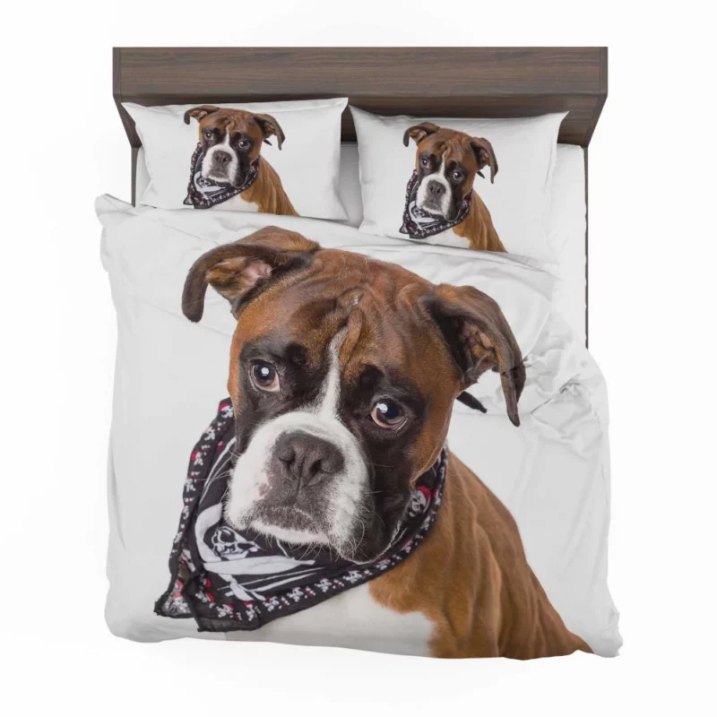 Boxer Energetic Charm Canine Vitality Bedding Set 1