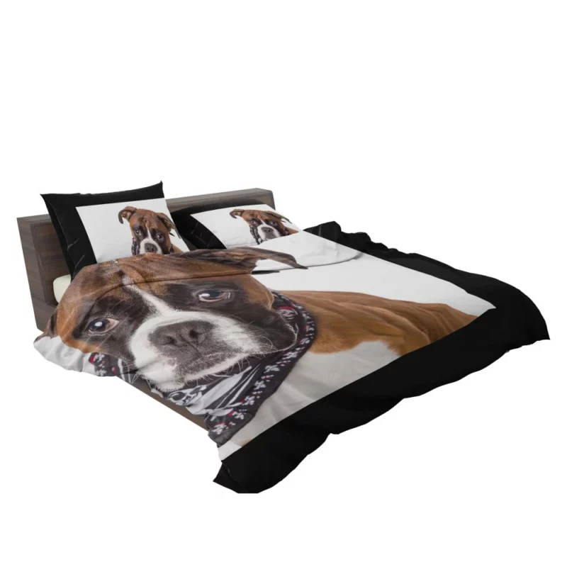 Boxer Energetic Charm Canine Vitality Bedding Set 2