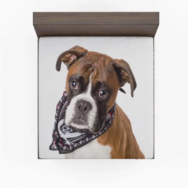 Boxer Energetic Charm Canine Vitality Fitted Sheet 1