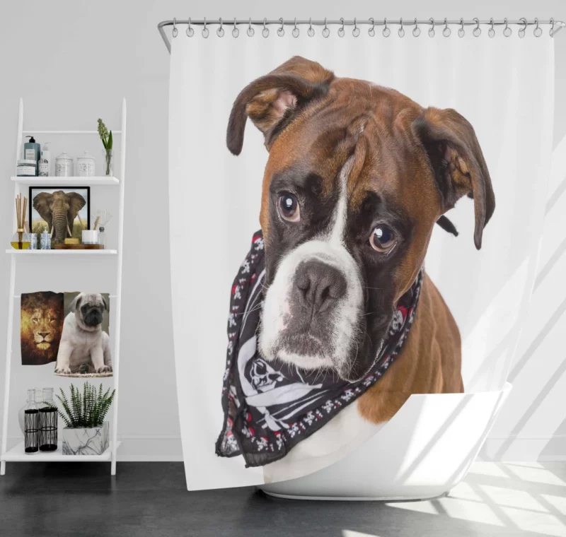 Boxer Energetic Charm Canine Vitality Shower Curtain