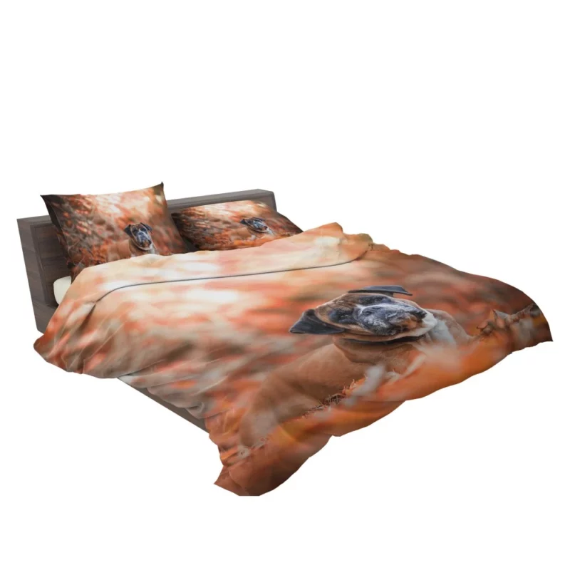 Boxer Enigmatic Stare Canine Wonder Bedding Set 2