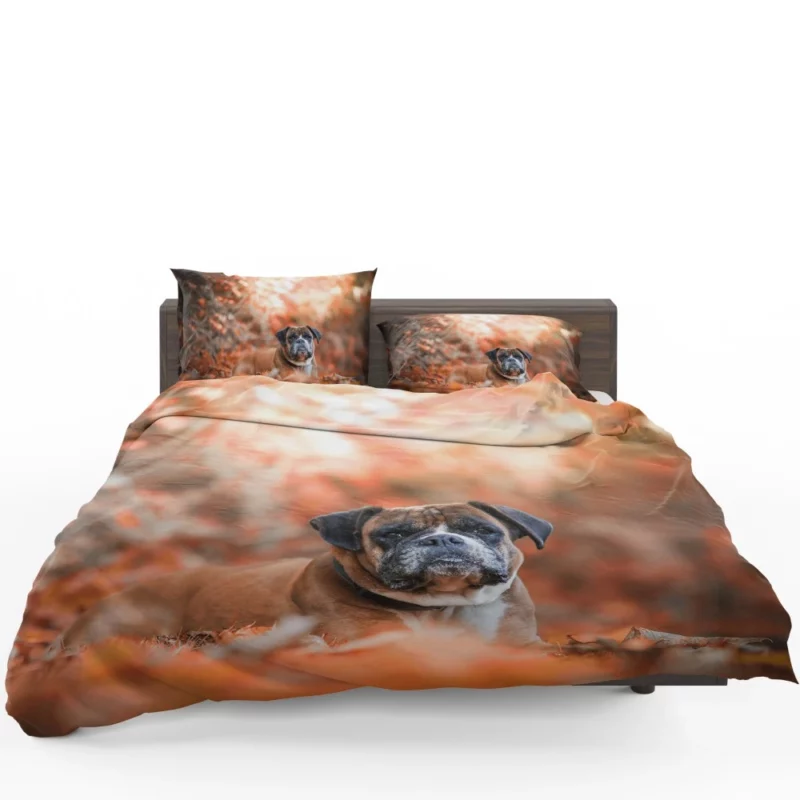 Boxer Enigmatic Stare Canine Wonder Bedding Set