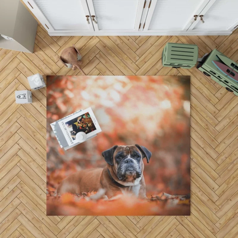 Boxer Enigmatic Stare Canine Wonder Rug