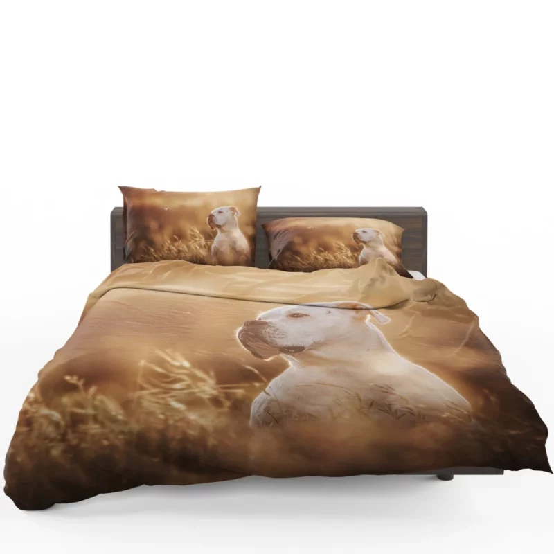 Boxer Playful Muzzle Canine Joy Bedding Set