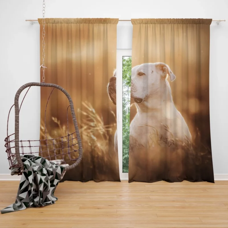 Boxer Playful Muzzle Canine Joy Curtain