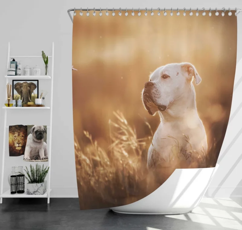 Boxer Playful Muzzle Canine Joy Shower Curtain