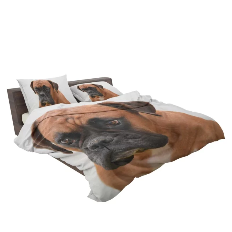 Boxer Soulful Portrait Pensive Pup Bedding Set 2