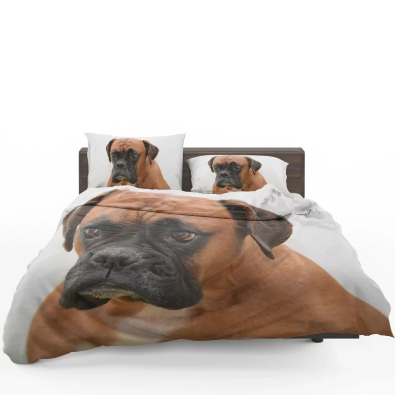 Boxer Soulful Portrait Pensive Pup Bedding Set