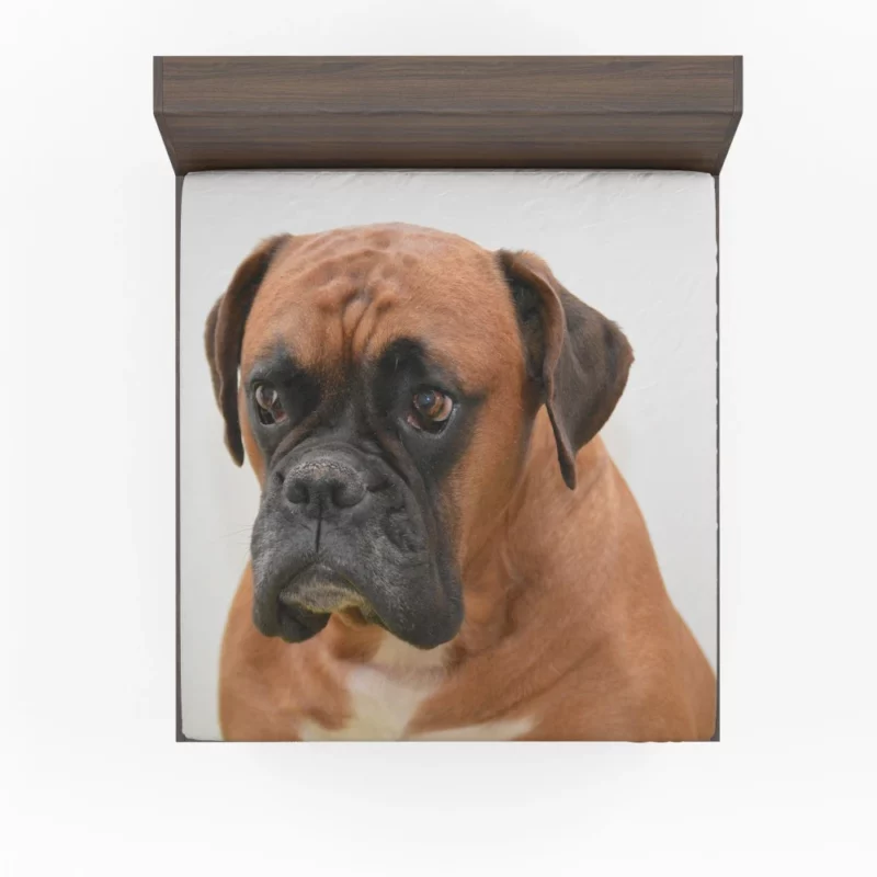 Boxer Soulful Portrait Pensive Pup Fitted Sheet 1