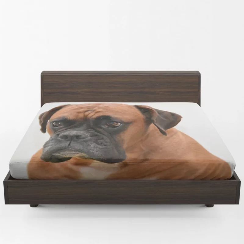 Boxer Soulful Portrait Pensive Pup Fitted Sheet