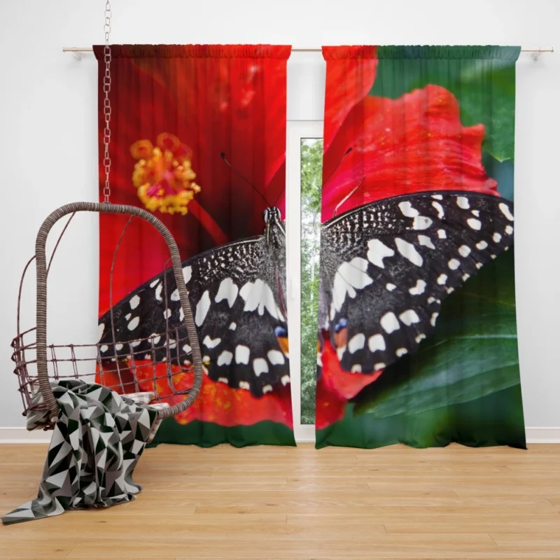 Bright Red Hibiscus Bloom Butterfly Haven Curtain