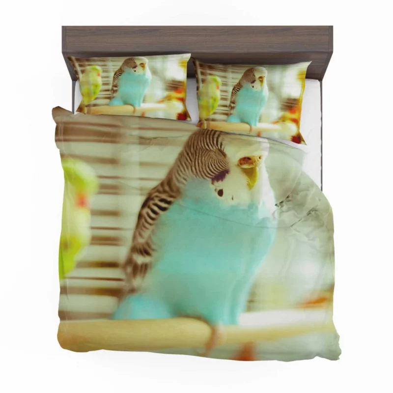 Budgerigar Colorful Charm Feathered Friend Bedding Set 1