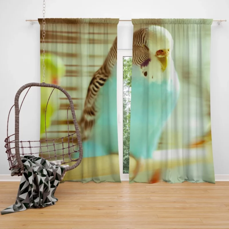 Budgerigar Colorful Charm Feathered Friend Curtain