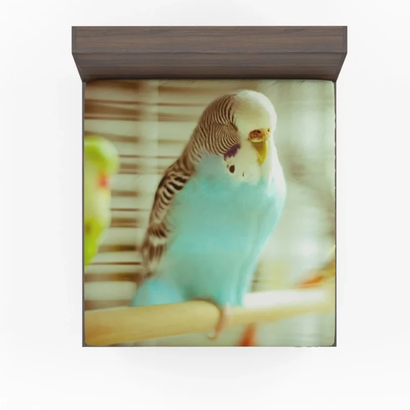 Budgerigar Colorful Charm Feathered Friend Fitted Sheet 1