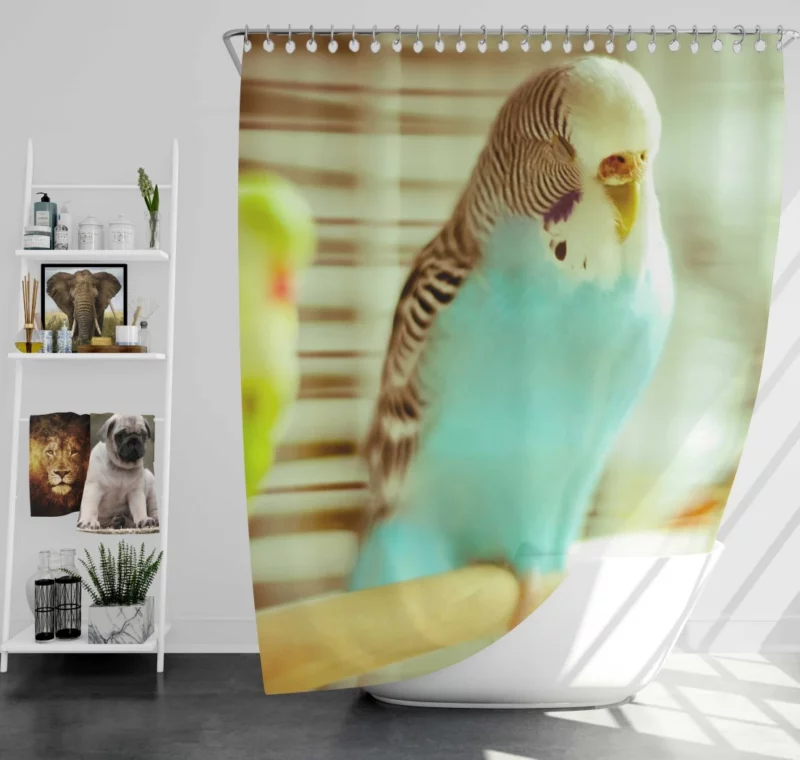 Budgerigar Colorful Charm Feathered Friend Shower Curtain