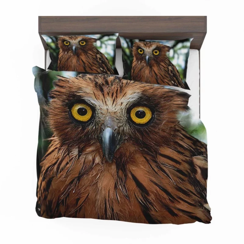 Buffy Fish Owl Feathered Beauty Avian Charm Bedding Set 1