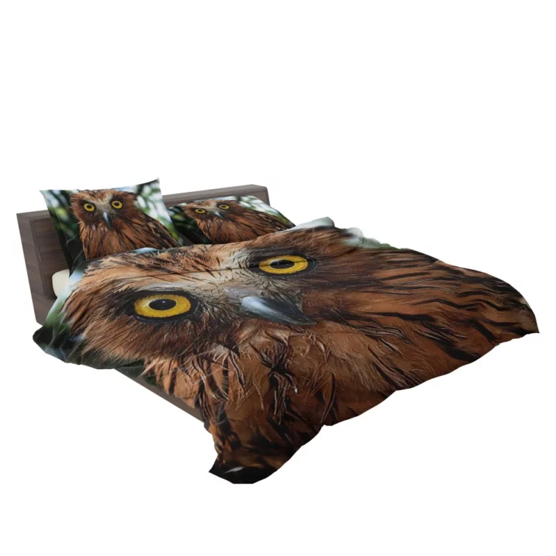 Buffy Fish Owl Feathered Beauty Avian Charm Bedding Set 2