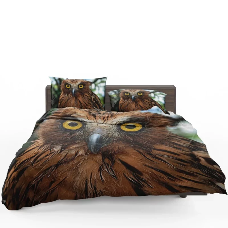 Buffy Fish Owl Feathered Beauty Avian Charm Bedding Set