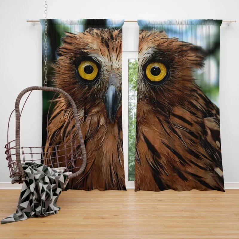 Buffy Fish Owl Feathered Beauty Avian Charm Curtain