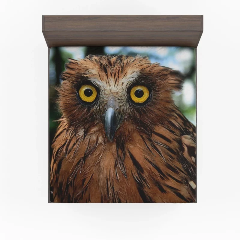 Buffy Fish Owl Feathered Beauty Avian Charm Fitted Sheet 1