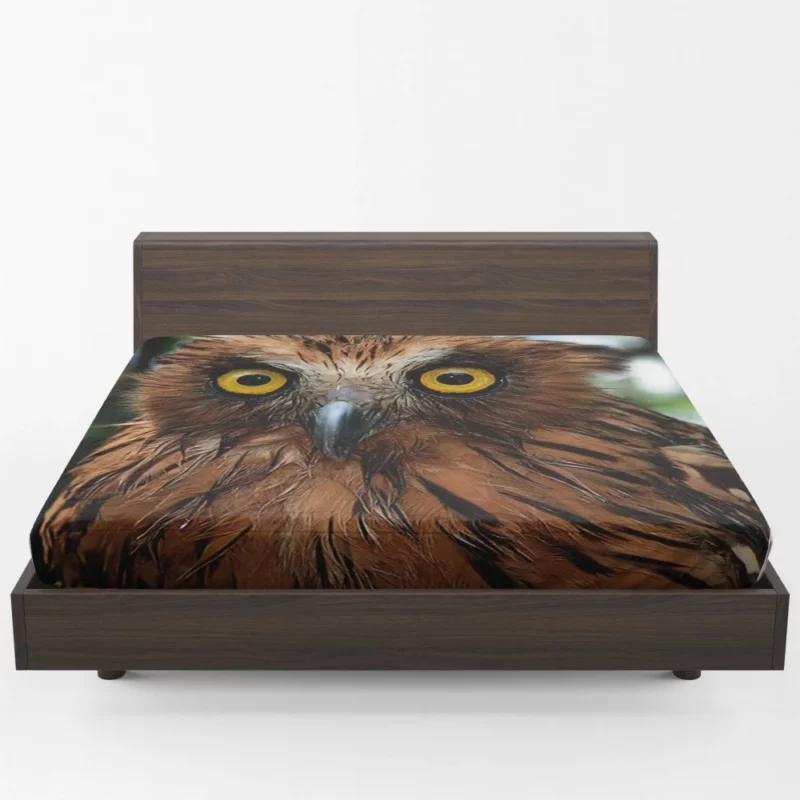 Buffy Fish Owl Feathered Beauty Avian Charm Fitted Sheet