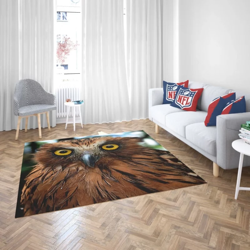 Buffy Fish Owl Feathered Beauty Avian Charm Rug 2