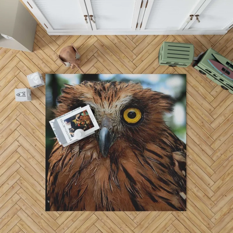 Buffy Fish Owl Feathered Beauty Avian Charm Rug