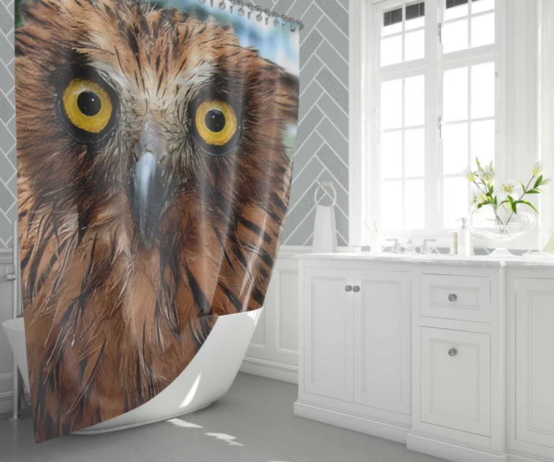 Buffy Fish Owl Feathered Beauty Avian Charm Shower Curtain 1