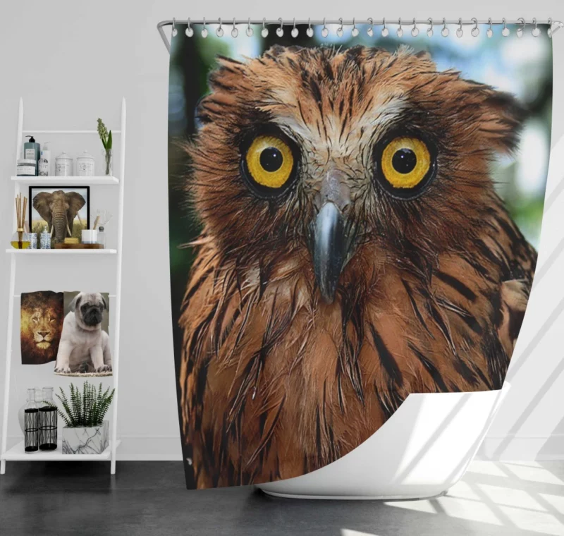 Buffy Fish Owl Feathered Beauty Avian Charm Shower Curtain