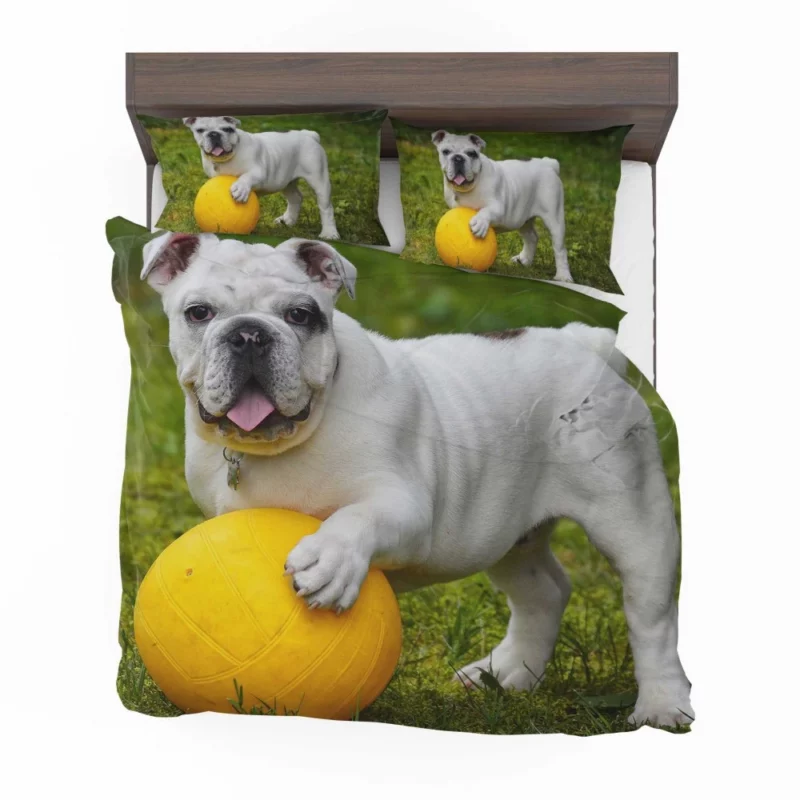 Bulldog Ball Game Playful Enthusiasm Bedding Set 1