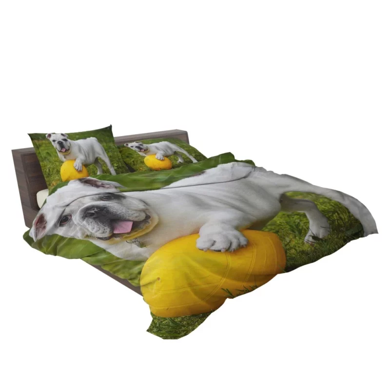 Bulldog Ball Game Playful Enthusiasm Bedding Set 2