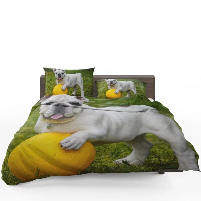 Bulldog Ball Game Playful Enthusiasm Bedding Set