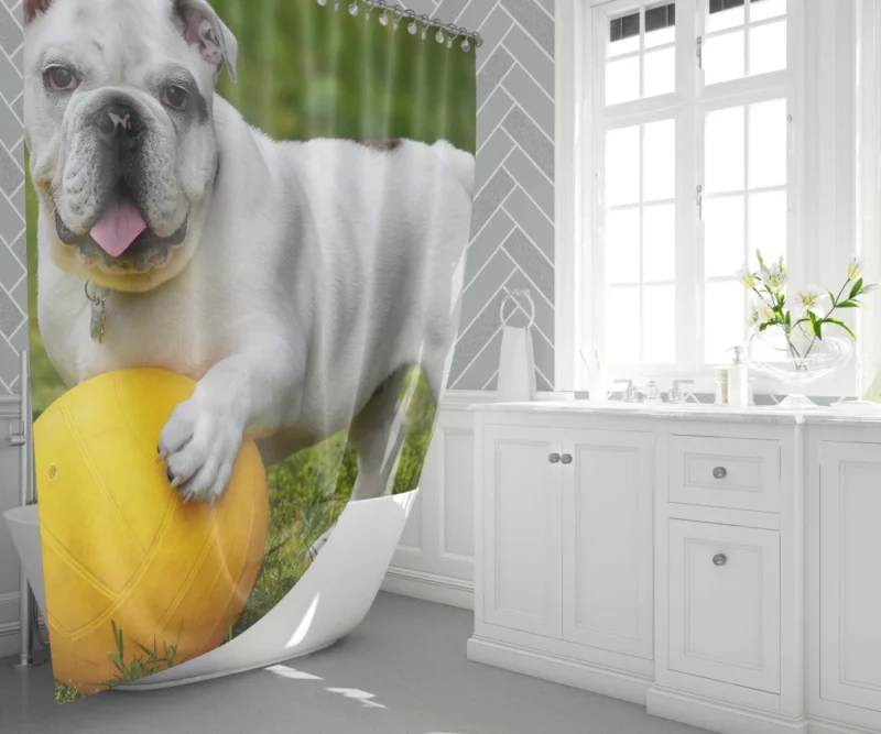 Bulldog Ball Game Playful Enthusiasm Shower Curtain 1