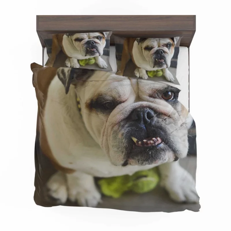 Bulldog Charming Muzzle Endearing Persona Bedding Set 1