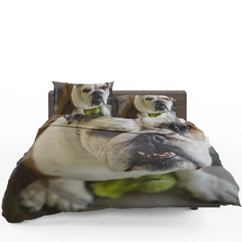 Bulldog Charming Muzzle Endearing Persona Bedding Set