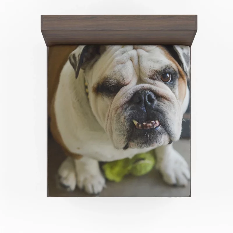 Bulldog Charming Muzzle Endearing Persona Fitted Sheet 1