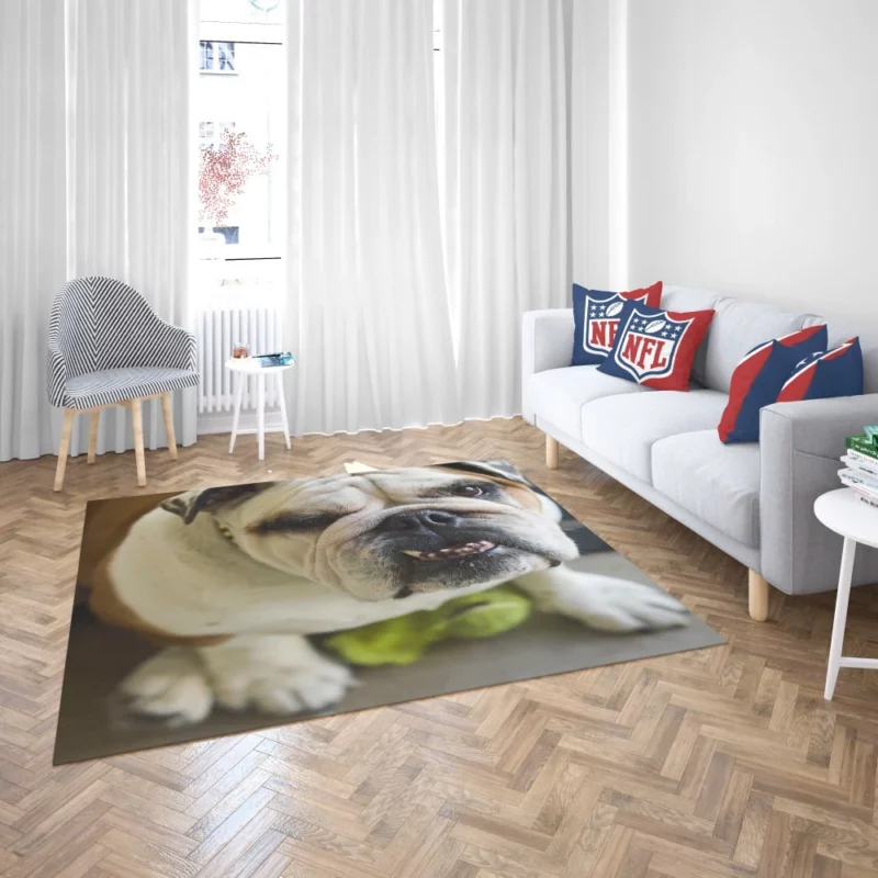 Bulldog Charming Muzzle Endearing Persona Rug 2