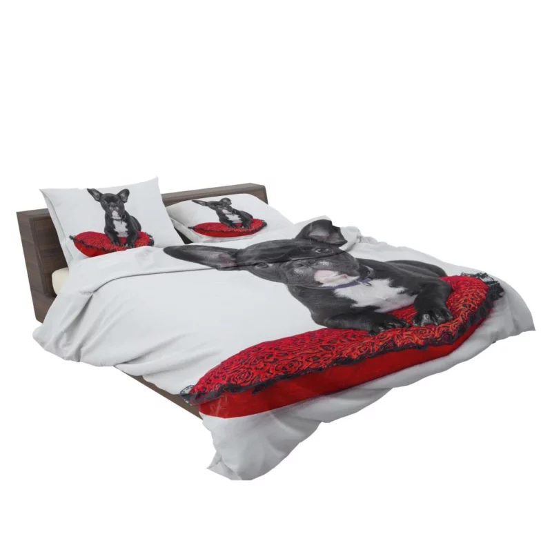 Bulldog Cozy Rest Cushioned Comfort Bedding Set 2